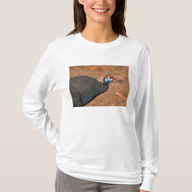 Gefiederte Guinea (Numida meleagris). Afrika, T-Shirt (Vorderseite)