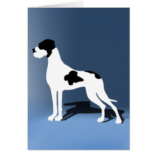 Gefleckte Deutsche Dogge