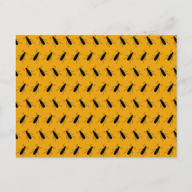 Gefleckte Käfer Postkarte (Vorderseite)