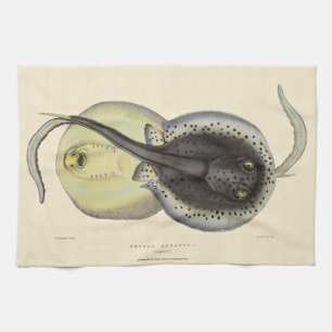 Gefleckte Stachelrochen, Vintage Meeres Tiere Geschirrtuch