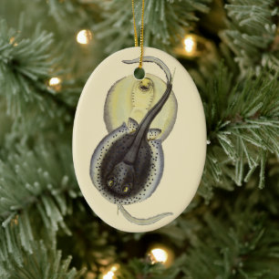 Gefleckte Stachelrochen, Vintage Meeres Tiere Ozea Keramik Ornament