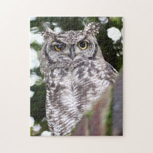Gefleckter Adlerkauz Greifvogel Puzzle