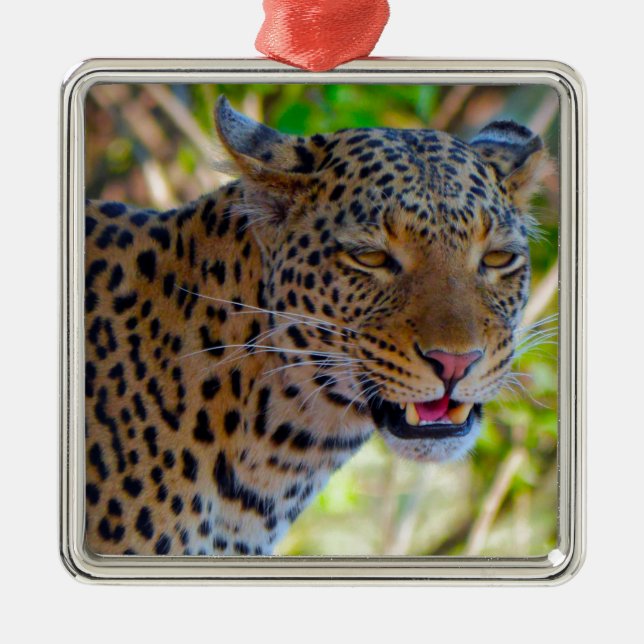 Gefleckter Leopard Silbernes Ornament (Vorne)