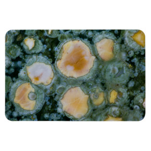 Gefleckter Ozean-Jasper Magnet
