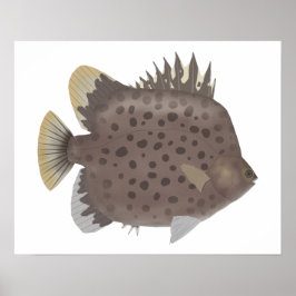 Gefleckter Scat Poster