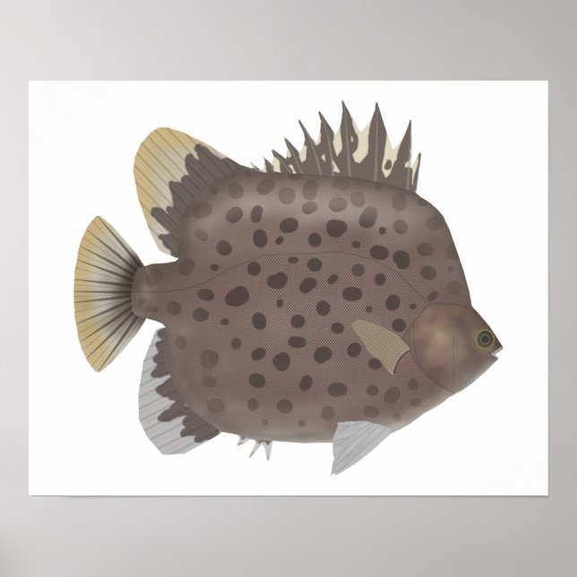 Gefleckter Scat Poster (Vorne)