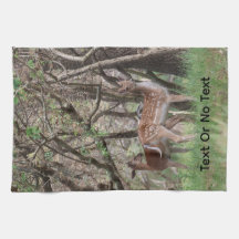 Geflecktes Hirsch-Foto