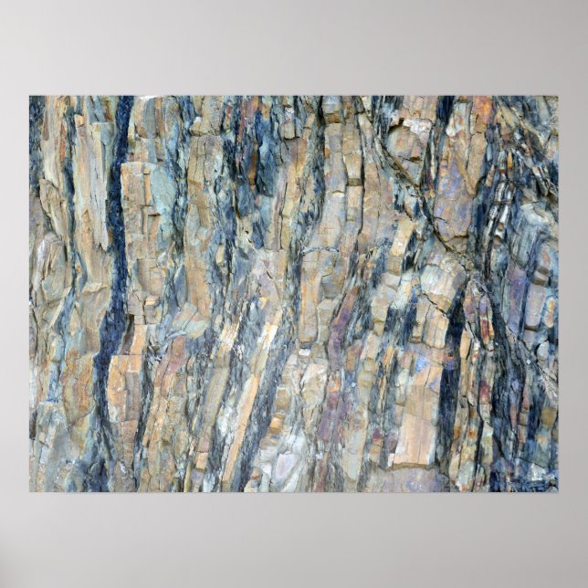 Geflochtener Felsen im Olympischen Nationalpark Poster (Vorne)