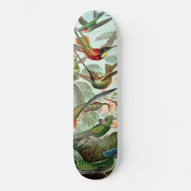 Geflügel Skateboard (Vorderseite)