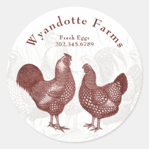 Geflügelfarm Wyandotte-Hühner Frischeier Runder Aufkleber