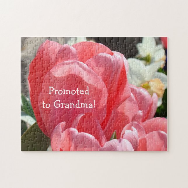 Gefördert zur Großmutter verwirrt Puzzle (Horizontal)