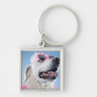 Geformte Klassen des Hundetragende Herzens und
