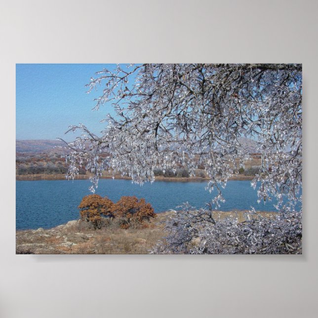 Gefrierbaum Poster (Vorne)