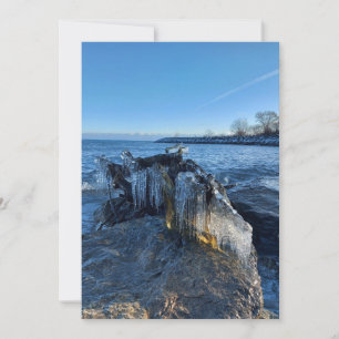 Gefriergefrorene Landschaftsbilder am See