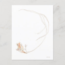 Gefriergetrocknet 1 postkarte