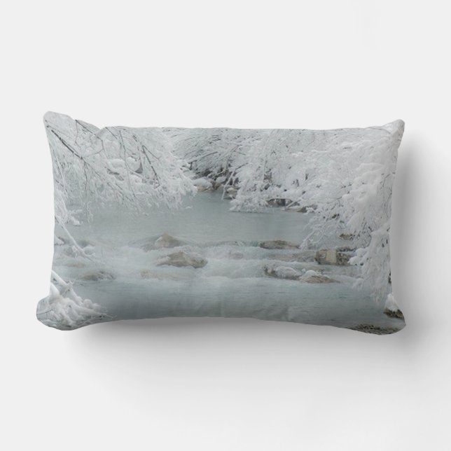 Gefrierstream - lendenkissen (Vorderseite)