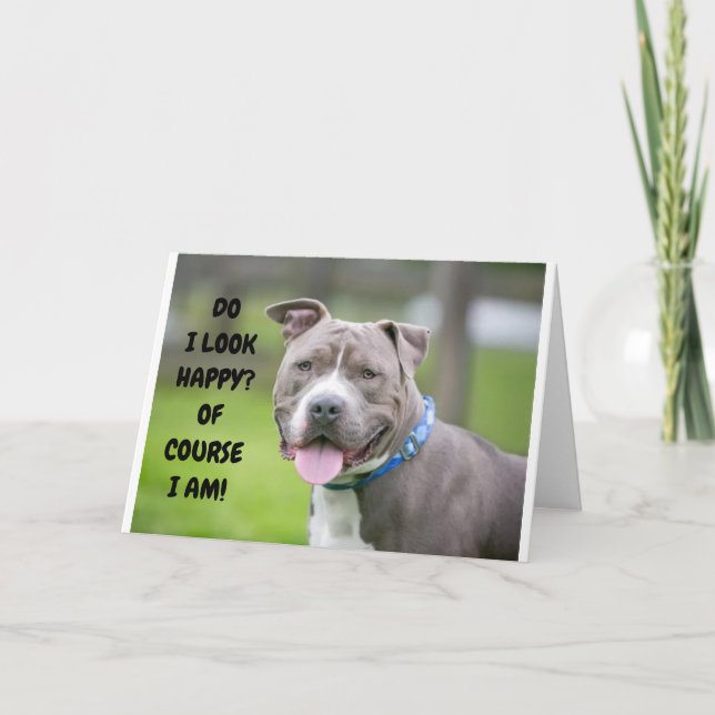 *GEFRILLTER HUND SENDET IHNEN GRATULIERUNGEN* KARTE (Vorderseite)