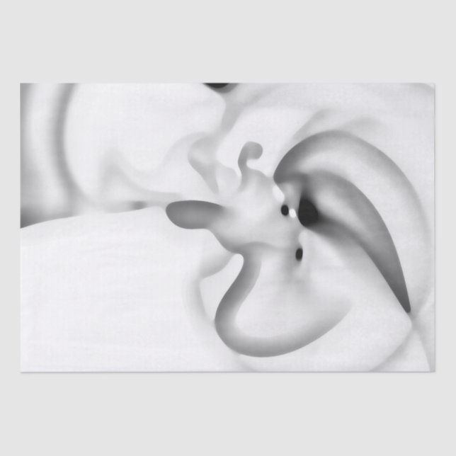 gefroren: Abstrakt, grau, weiß und schwarz Seidenpapier (Vorderseite)