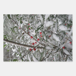 gefroren geschenkpapier set