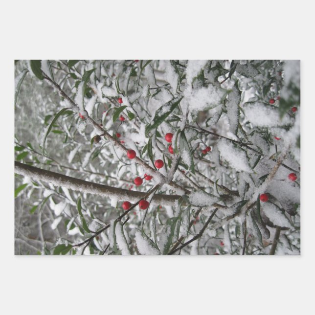 gefroren geschenkpapier set (Vorderseite 3)