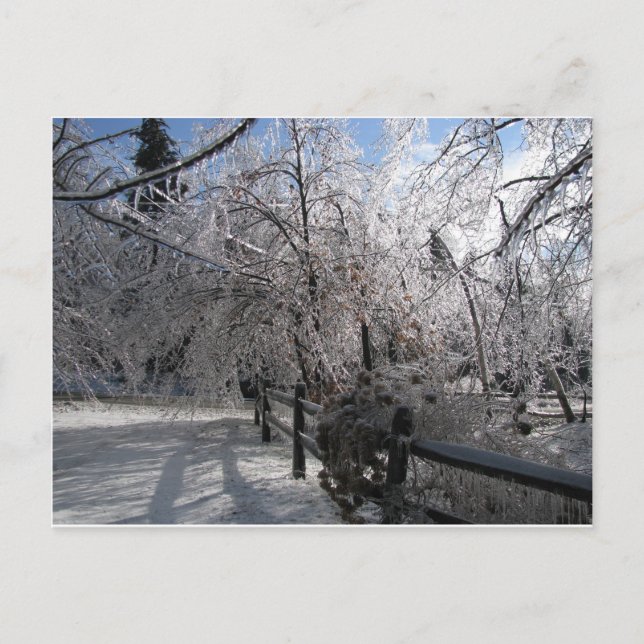 gefroren postkarte (Vorderseite)