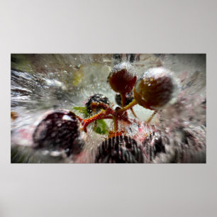 Gefrorene Beeren, Poster