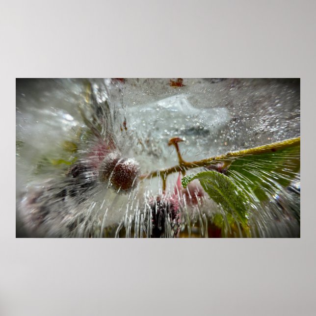 Gefrorene Beeren,  Poster (Vorne)