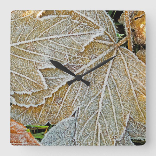 Gefrorene Blätter Wanduhr (Vorderseite)