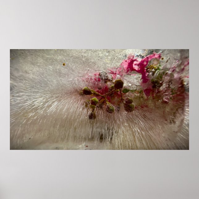 Gefrorene Blüten,  Poster (Vorne)