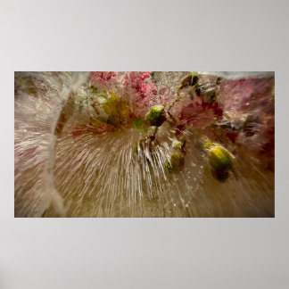Gefrorene Blüten, Poster