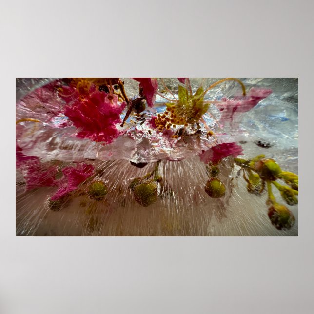 Gefrorene Blüten,  Poster (Vorne)