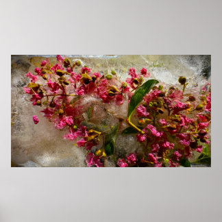Gefrorene Blüten, Poster
