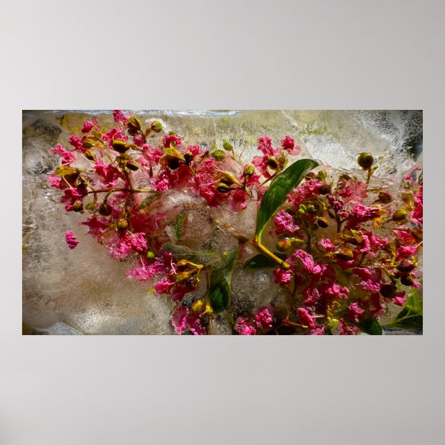 Gefrorene Blüten,  Poster (Vorne)