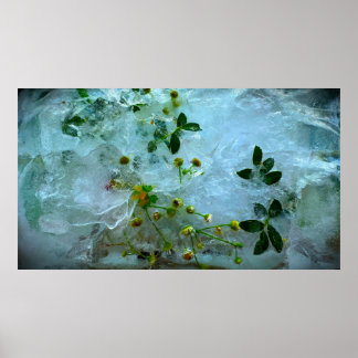Gefrorene Blüten, Poster