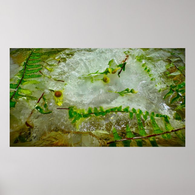 Gefrorene Blüten,  Poster (Vorne)