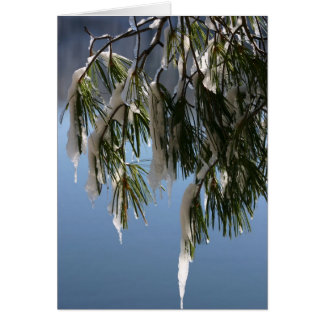 Gefrorene Niederlassung