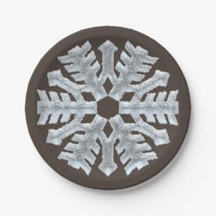 Gefrorene Schneeflocke-elegantes Pappteller