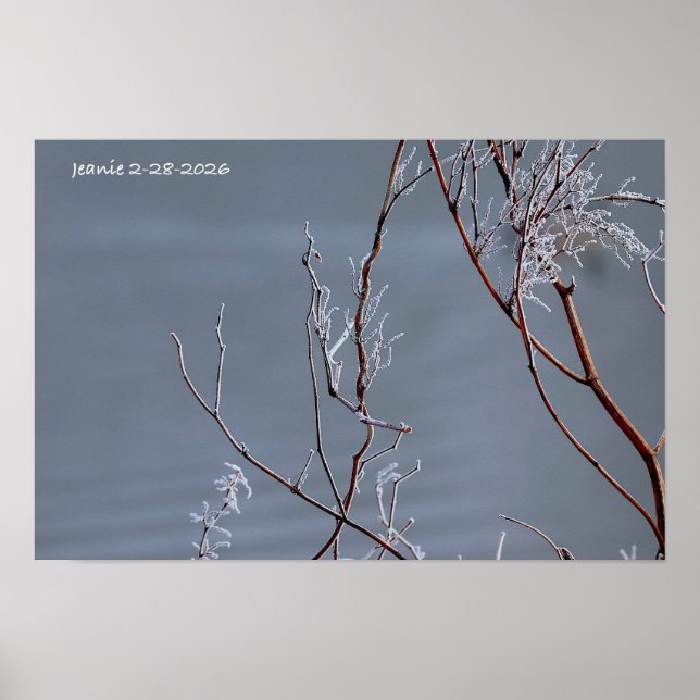 Gefrorener Busch Poster (Vorne)