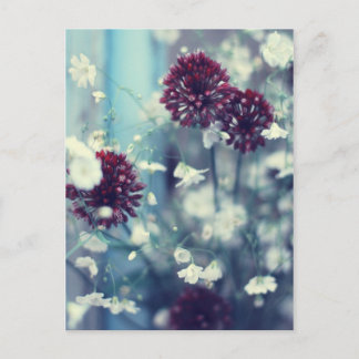 Gefrorener Sommer Postkarte