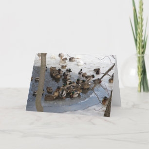 Gefrorener Teich mit Enten Feiertagskarte