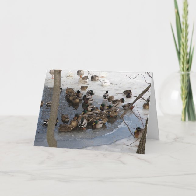 Gefrorener Teich mit Enten Feiertagskarte (Vorderseite)
