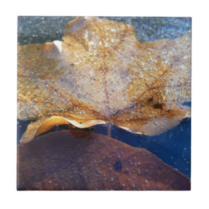 Gefrorenes gelbes Ahornblatt Herbst Natur Fliese