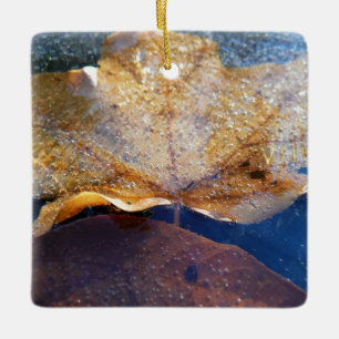 Gefrorenes gelbes Ahornblatt Herbst Natur Keramikornament