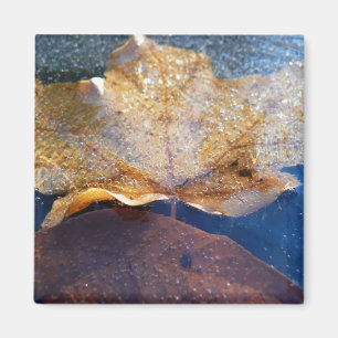 Gefrorenes gelbes Ahornblatt Herbst Natur Magnet