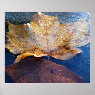 Gefrorenes gelbes Ahornblatt Herbst Natur Poster