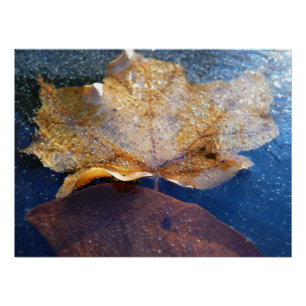 Gefrorenes gelbes Ahornblatt Herbst Natur Poster