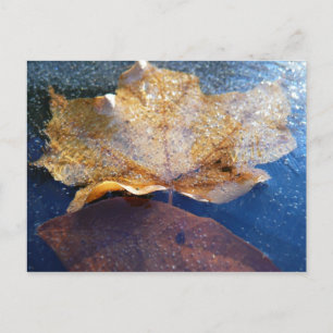 Gefrorenes gelbes Ahornblatt Herbst Natur Postkarte