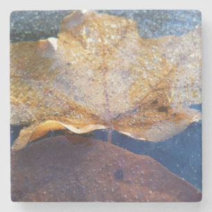 Gefrorenes gelbes Ahornblatt Herbst Natur Steinuntersetzer