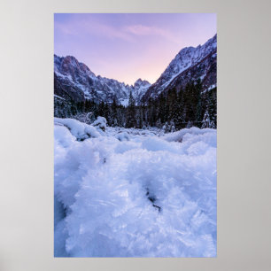 Gefrorenes Laub und Berge bei Sonnenuntergang Poster