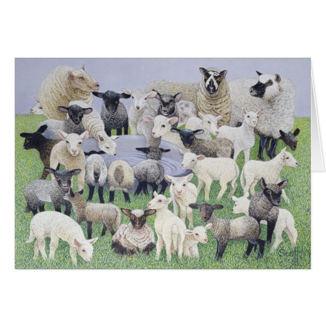 Gefühl ängstlich (Vorderseite (Horizontal))